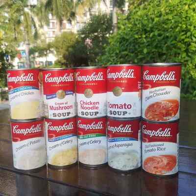 美国进口Campbells Condensed Soup小金宝浓缩汤罐头多种口味298g