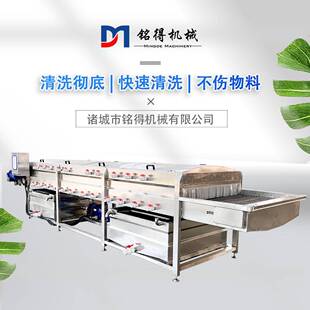 铭得全自动大葱气泡清洗机农作物蒜苗清洗设备果蔬加工洗葱机器