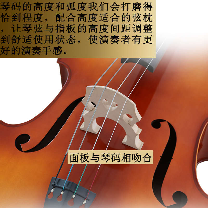 精品低音提琴倍大提琴儿童贝斯乐器入门级练习bass四弦大贝斯贝司