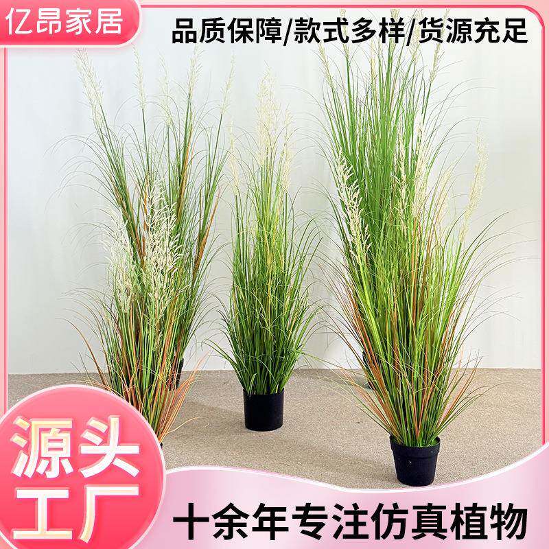 仿真燕麦盆栽芦苇草干花蒲苇草婚庆家居装饰摆件仿真假花狗尾巴草