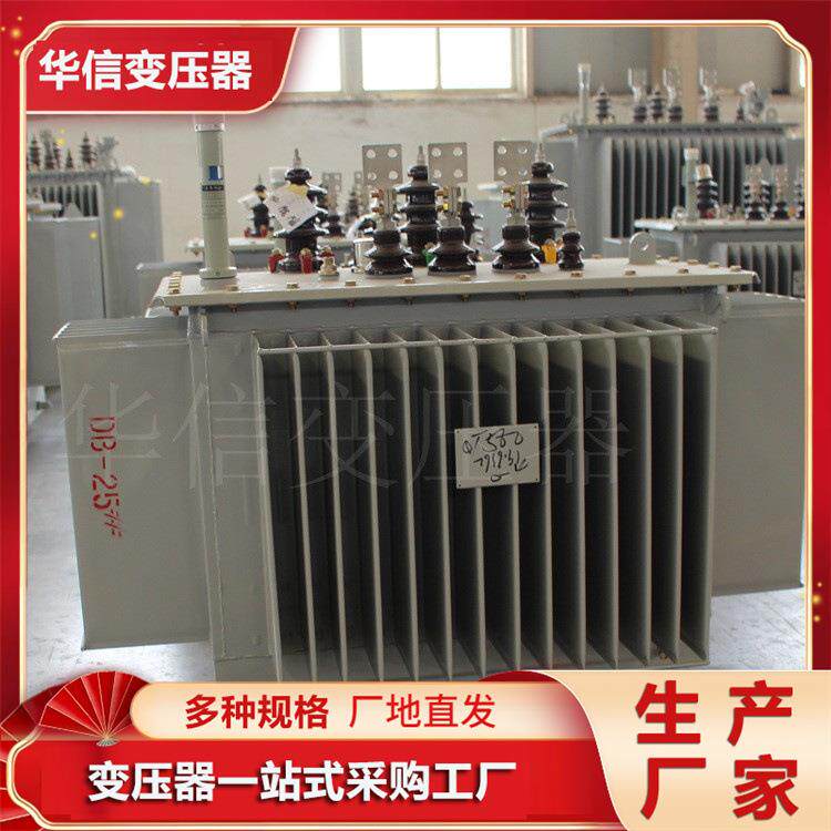 S22-3150KVA/10KV油浸式变压器三相电力变压器
