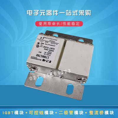 巴斯曼快速熔断器170M1786 1787 1788 1789 1780 1791 1792 1793