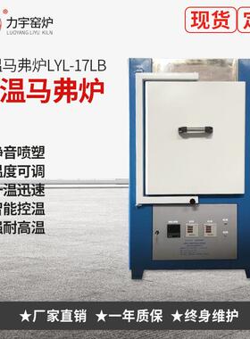 厂家直销生产马弗炉、高温电阻炉实验室LYL-17LB智能控温