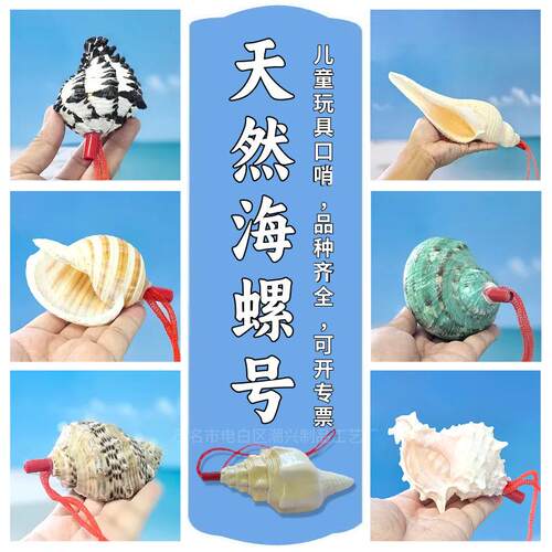海螺号角可贝壳超大哨子吹响喇叭口哨工艺品儿童玩具小螺号