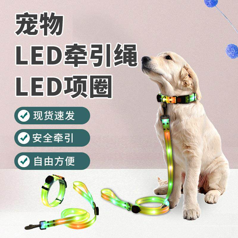 宠物led防水项圈宠物发光警示用品项圈可调节LED发光牵引绳
