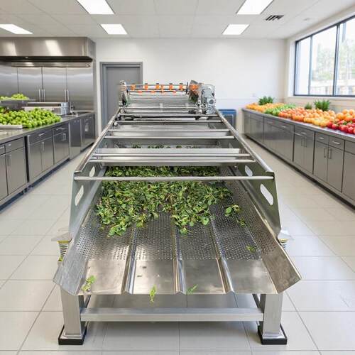 商用果蔬气泡清洗机白菜冬笋海带高压喷淋清洗机香菇清洗机