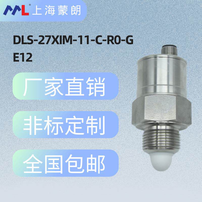 DLS-27XiM-11-C-R0-G E12 阻抗谱开关 替代捷克DINEL迪耐尔液位计