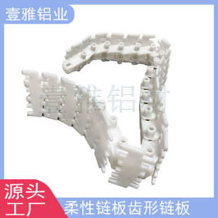 厂家直销柔性链板白色齿形链板双排塑料输送带自动化设备流水线