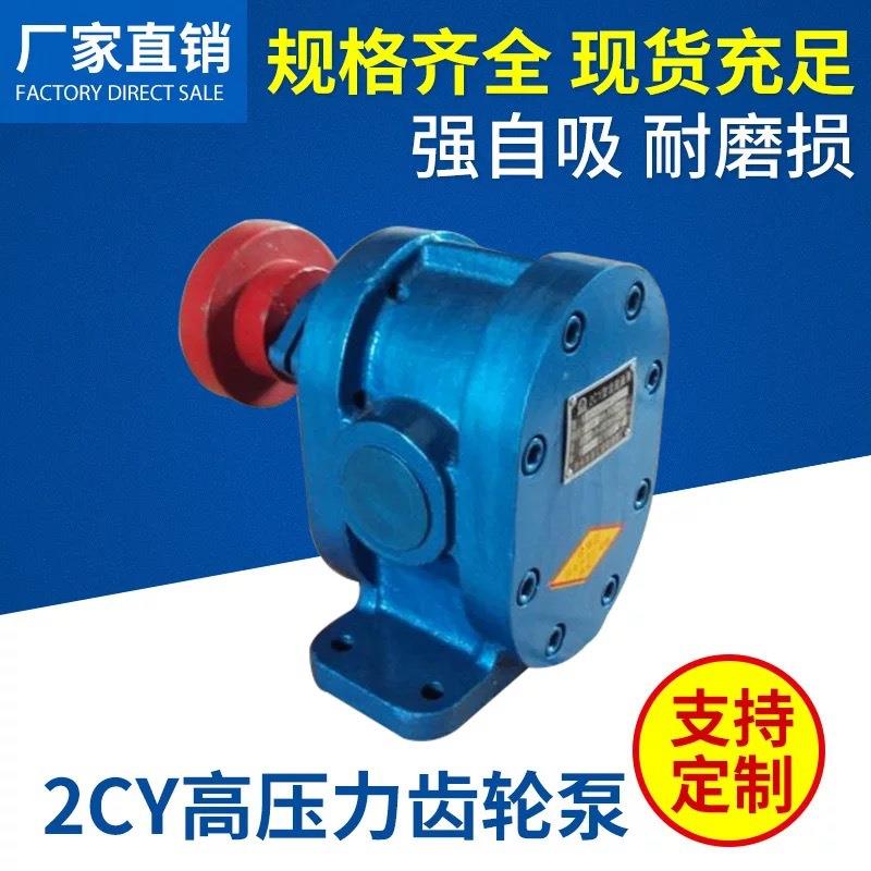 厂家供应泰盛2CY-12/2.5齿轮泵油泵不锈钢齿轮泵 电动液体增压泵