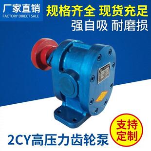 2.5齿轮泵油泵不锈钢齿轮泵 电动液体增压泵 厂家供应泰盛2CY