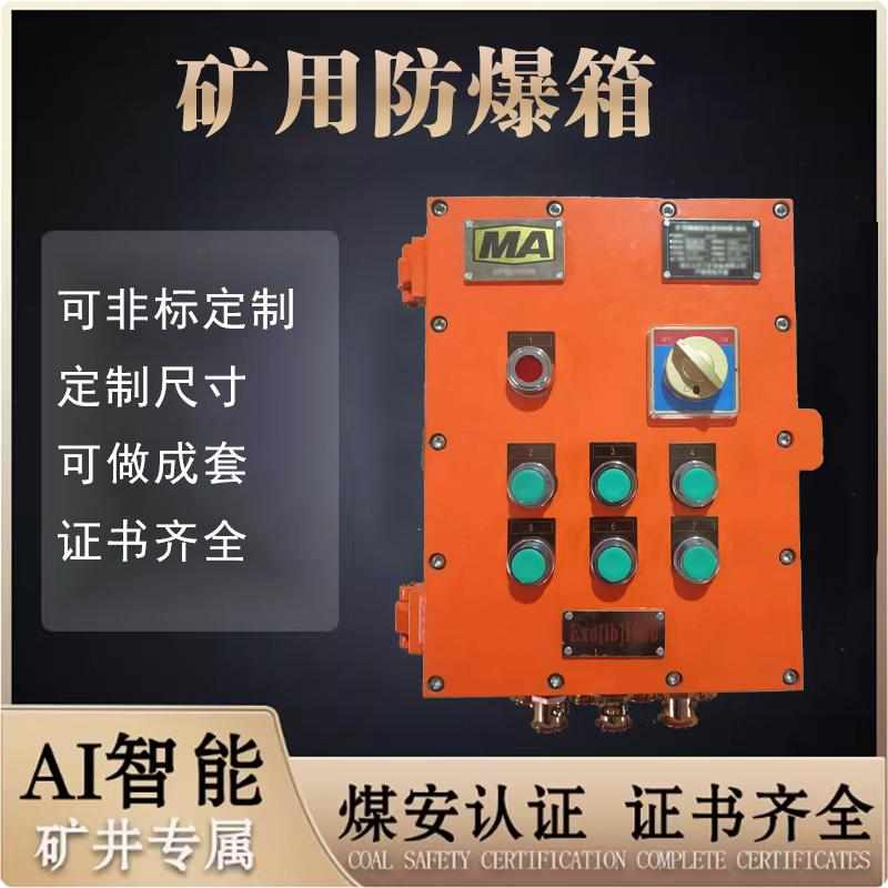 煤矿本安电控箱隔爆箱防爆箱电源箱控制箱接线箱MAKA金矿磷矿铁矿