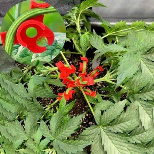 KB-150Pcs Plant Clips Bending Tool For Flower Vines