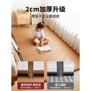 夏凉神地垫榻米软垫家用室打地铺器XYH25323睡垫卧子租房专用床垫