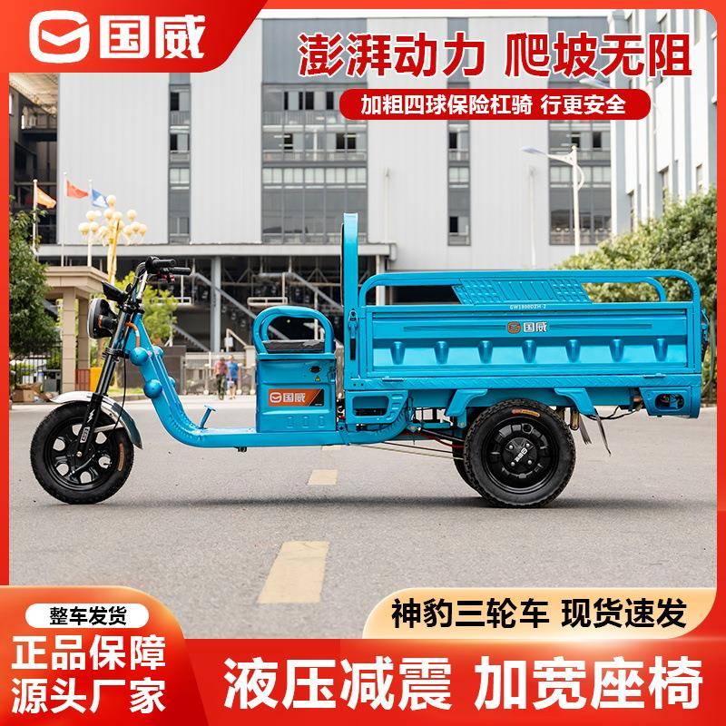 威电三车拉货国载重王家用农用轮三轮动车电瓶GW1800DZ车电动车快