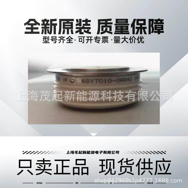 6SY7010-0AA41 6SY7010-0AA40 6SY7010-0AA38 WESTCODE可控硅