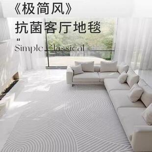 高级感客厅地毯卧室床边加厚防水书房衣帽间沙发茶几地垫耐脏免洗