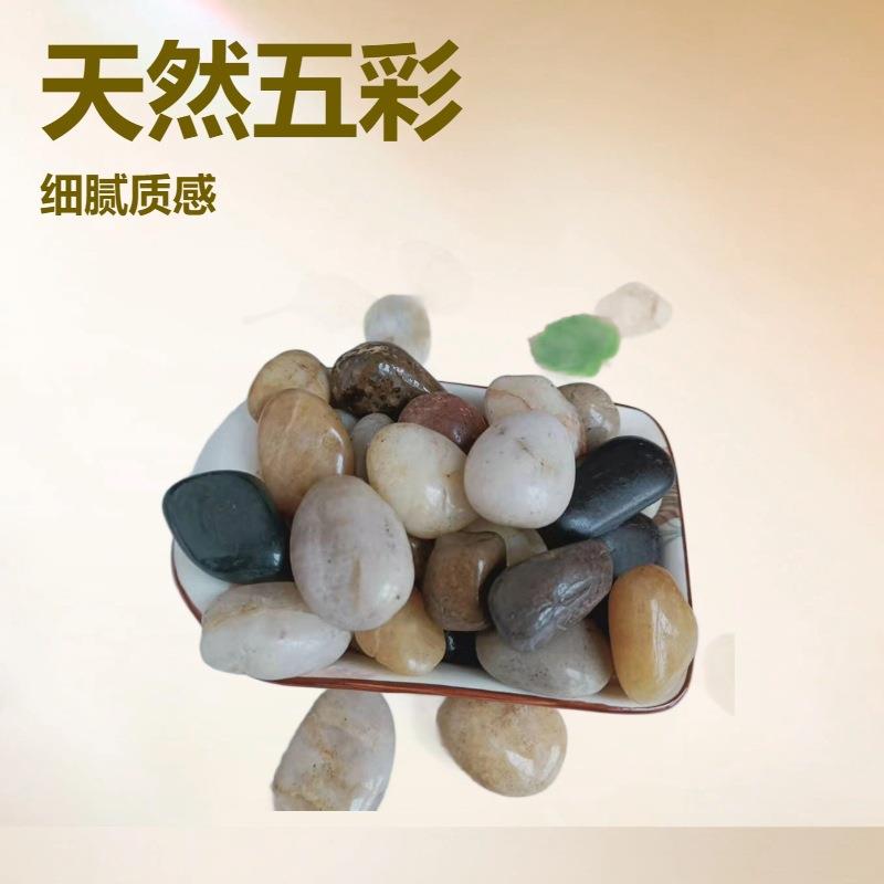 白色鹅卵石铺地小石头园林花盆铺面石庭院白石头铺路造景白石子