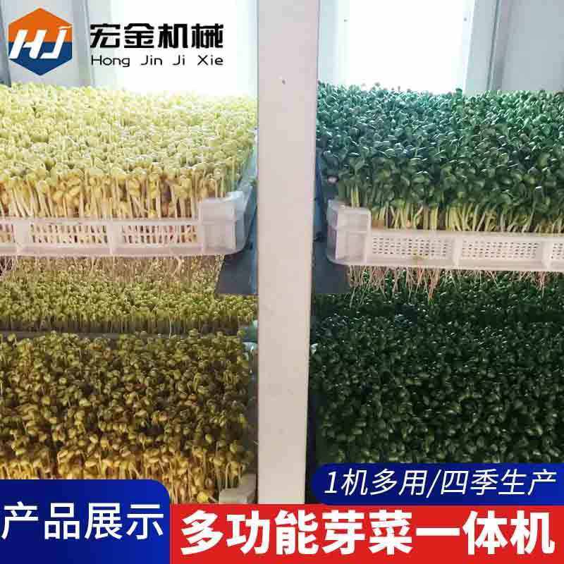芽苗菜机械全自动现货 创业食品设备自动控温智能多用型芽苗菜机