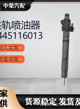 燃油总成柴油发动机零部件0445116013压电喷油器