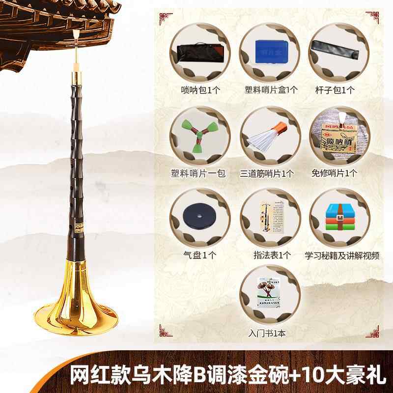 高档王家彪初学网红乌木唢呐乐器叭者全套民族喇d调降B调考入门专