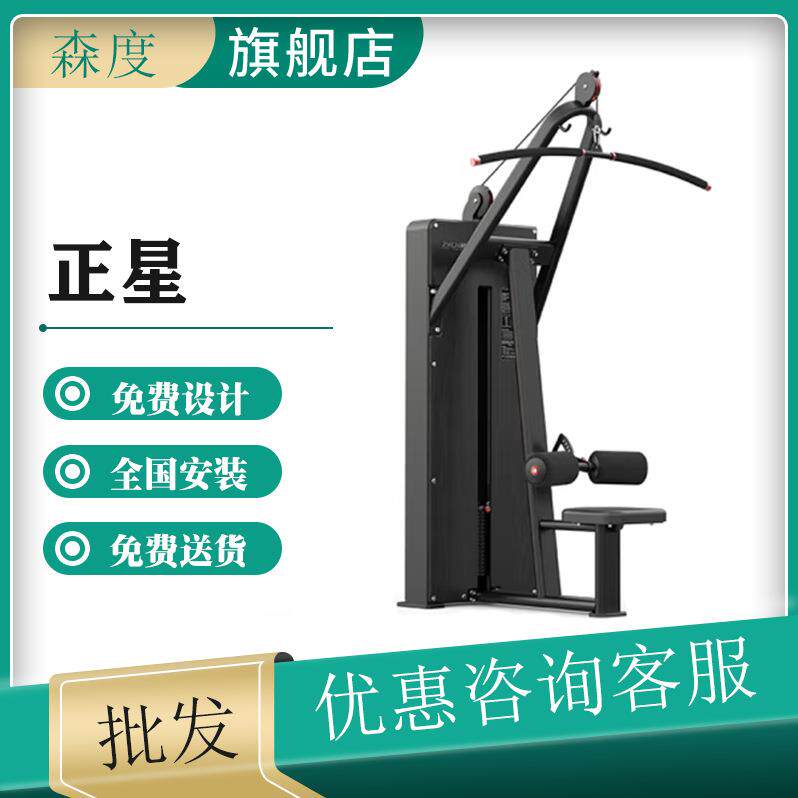 正星(ZXCH)高拉背肌训练器三角肌背阔肌训练器J7115高级黑