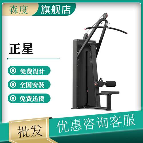 正星（ZXCH）高拉背肌训练器三角肌背阔肌训练器J7115高级黑