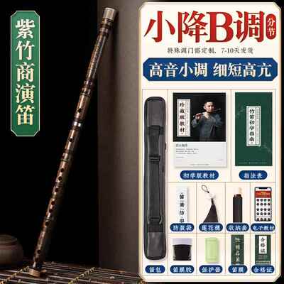 正品奏湛文兵子紫竹笛专业演级笛横竹笛c初学者成人f笛e儿童初学