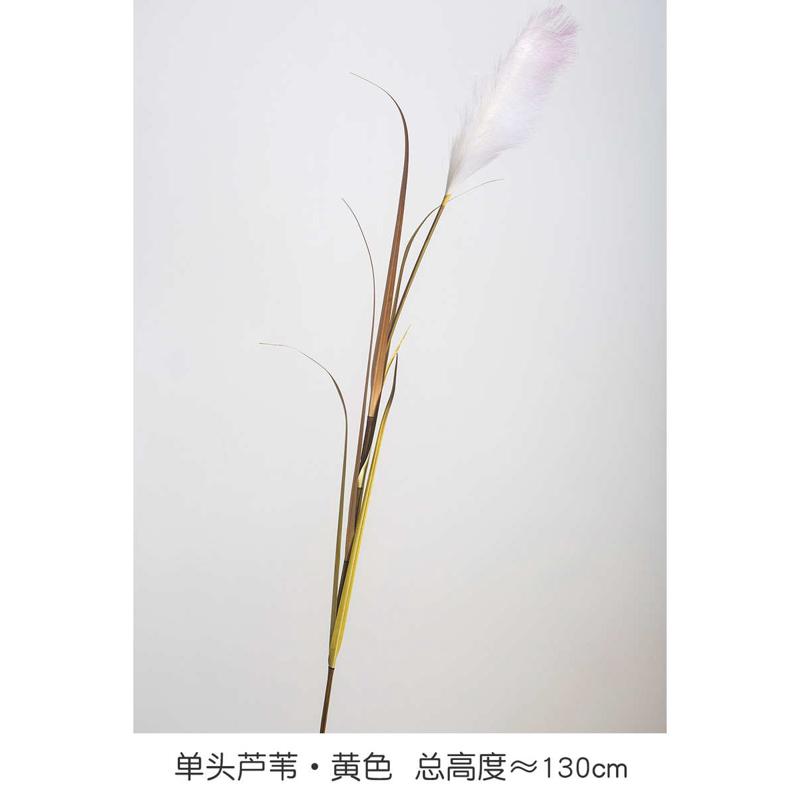 装饰道具插花仿真摆件客厅狗尾草干花拍摄假花花瓶芦苇花家居简约