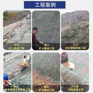 绿护山藤钢网塑山体防护爬网矿山复绿色植物攀爬网绿化土工格栅