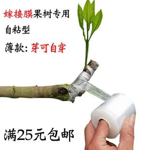 嫁接带 包邮 果树嫁接专用膜自粘式 带吸附性嫁膜芽接枝接免打结25元