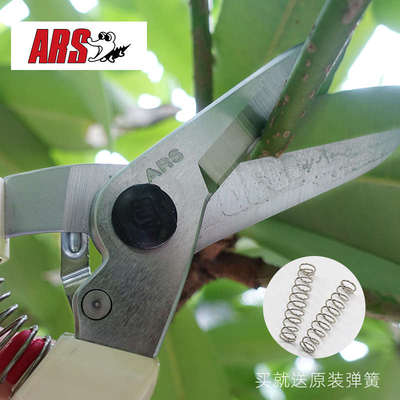 日本原装爱丽斯ARS140DX生花园艺剪鲜切花盆景家用盆栽枝条造型剪