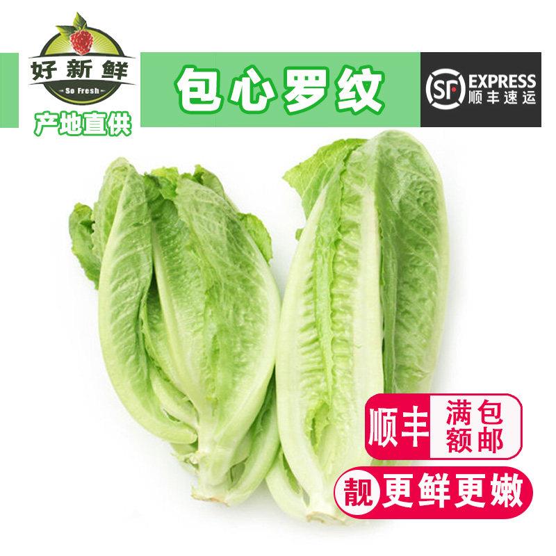 新鲜蔬菜包罗生菜即食沙拉凯撒西餐包心黄心罗马罗纹生菜健身轻食