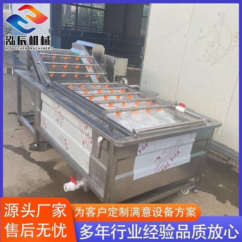 供应高压气泡清洗机 不锈钢豆芽清洗机 全自动果蔬清洗机设备