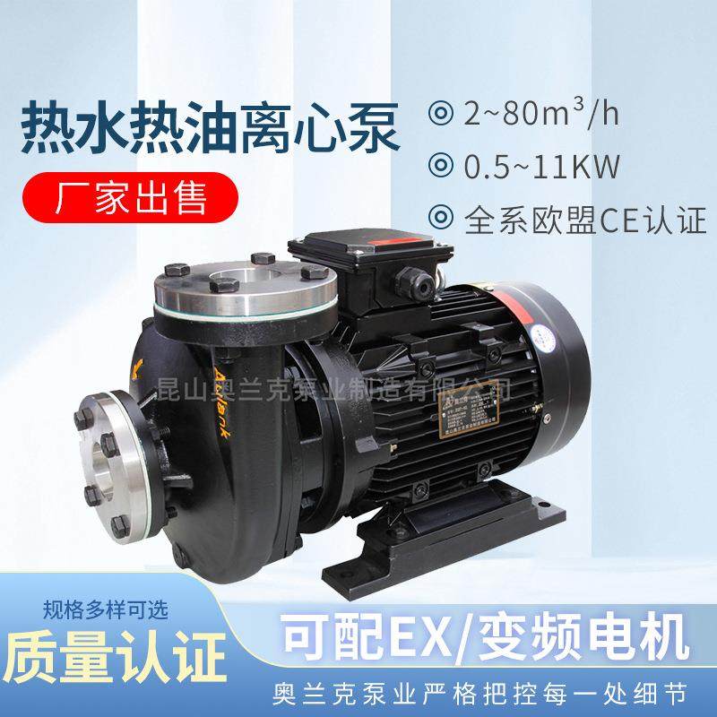 RGZ系列体积小高温热油泵RGZ-10aulank热水卧式循环泵