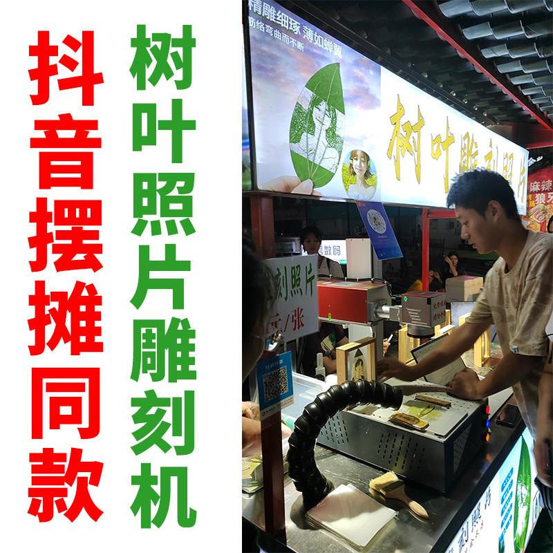 新汉工树叶叶雕激光雕刻机小型全自动叶雕机叶子打印雕刻照片机器