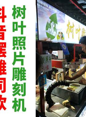 新汉工树叶叶雕激光雕刻机小型全自动叶雕机叶子打印雕刻照片机器