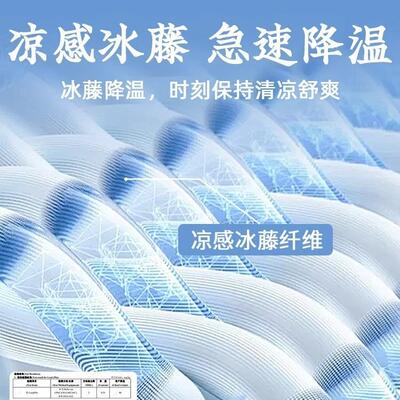 冬夏两用新中式洛月冰藤木沙发垫夏凉季席棉麻坐垫双面透气乳红海