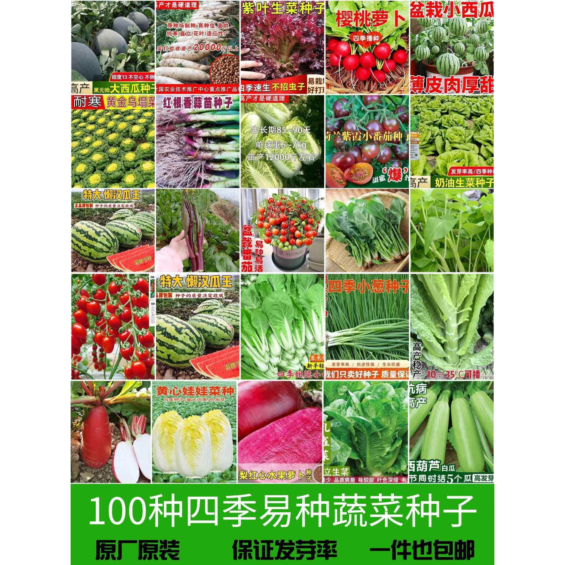春秋菜种籽大全四季阳台盆栽瓜果蔬菜生菜小葱番茄豇豆空心菜种籽,家居饰品,户外/庭院摆件,淘宝优惠券,粉丝福利购,淘宝优惠卷