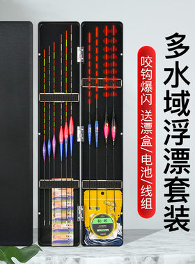 鱼漂套装夜光两用电子加粗浮漂