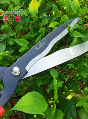 佐川吉1019绿篱剪草坪修剪树枝园艺剪刀园林修枝剪花剪粗枝波浪剪