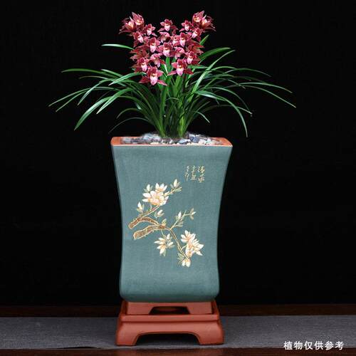 紫砂兰花盆大号四方刻绘点彩带底座花卉园艺绿植客厅盆景厂家