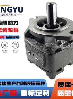 力士乐Rexroth齿轮泵PGH5-21/100RE11VU2PGH4PGH3液压油泵总成