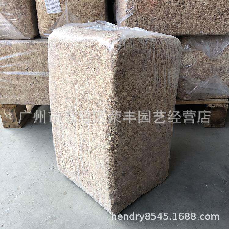 智利5星红草 干水苔 干苔藓 水草 爬虫 兰花 微景观 食虫植物用