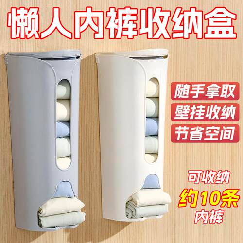 Wall-mounted Underwear and Socks Organizer for Home Wardrobe