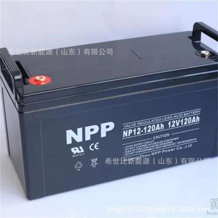 耐普蓄电池NPG12-150免维护12V150AH通信中心站设备备用电源