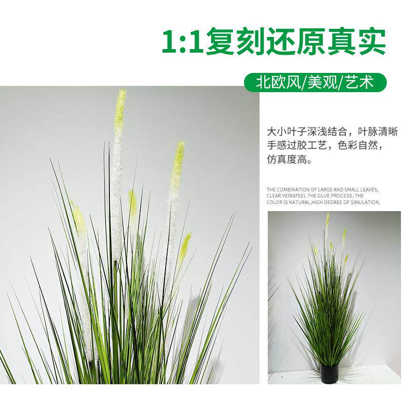 亚马逊真绿植狗尾巴草盆栽装饰品摆件 仿真植物洋葱草叶盆栽