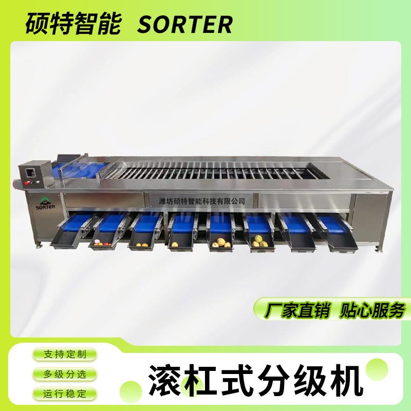百香果直径分级机李子果径滚杠分选机椰枣红枣双螺旋大小选果机