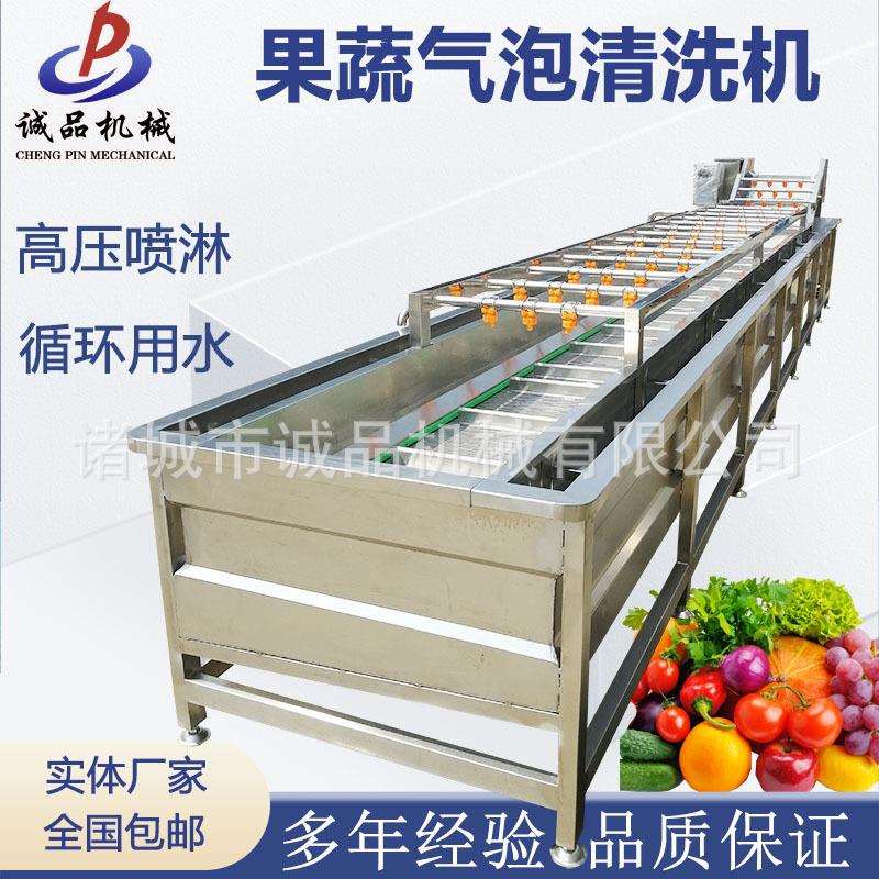 全自动番石榴芭乐清洗机黄花鱼清洗机蔓越莓气泡清洗机果蔬清洗机