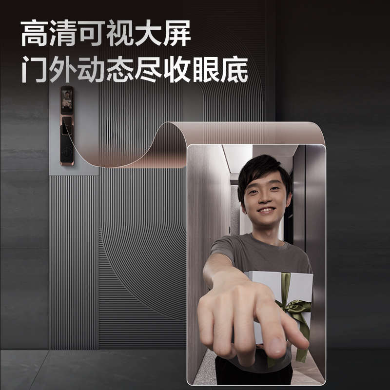 TCL假锁Q9G-S通用K9G Pro双开门装饰锁（无电子功能 仅装饰使用）