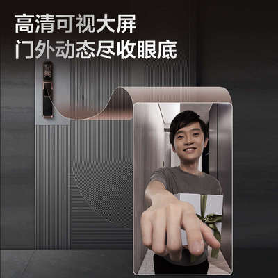 TCL假锁Q9G-S通用K9G Pro双开门装饰锁（无电子功能 仅装饰使用）